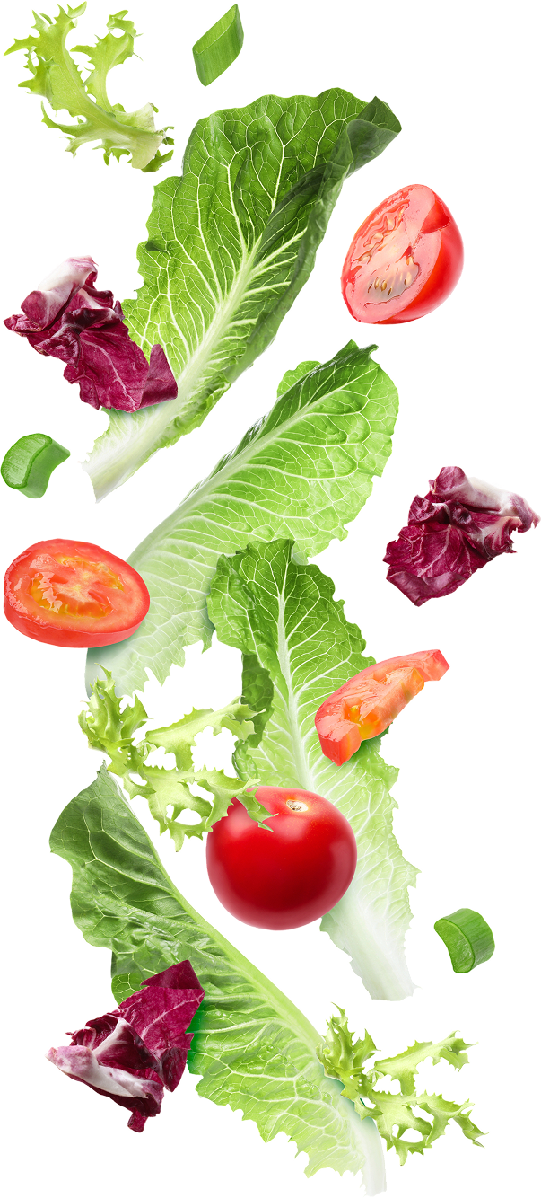 veggies-flying.png